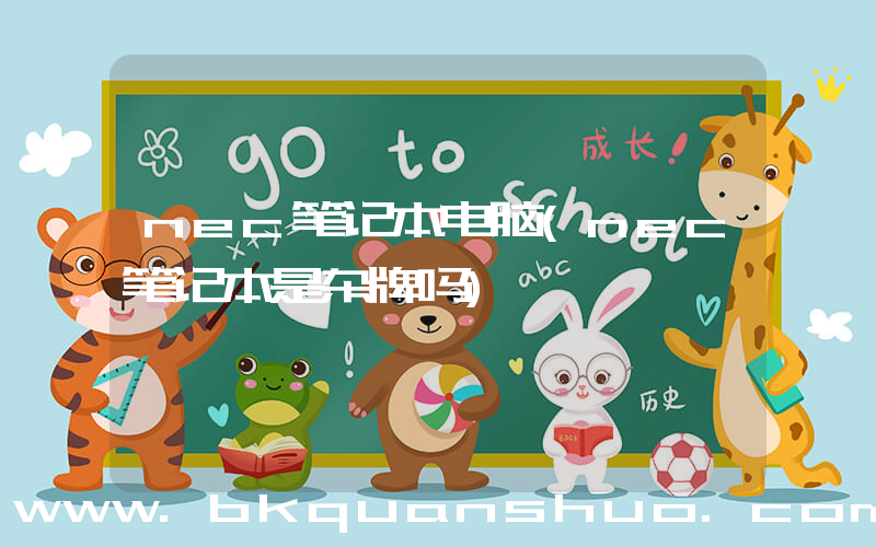 nec笔记本电脑(nec笔记本是杂牌吗)