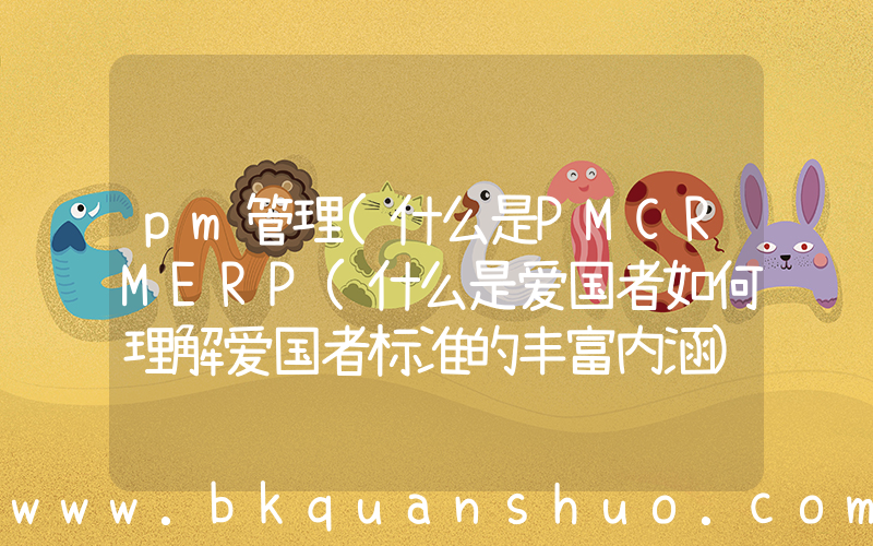 pm管理(什么是PMCRMERP(什么是爱国者如何理解爱国者标准的丰富内涵))