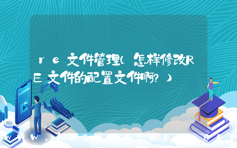 re文件管理(怎样修改RE文件的配置文件啊？)