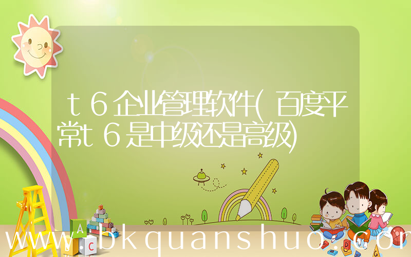 t6企业管理软件(百度平常t6是中级还是高级)