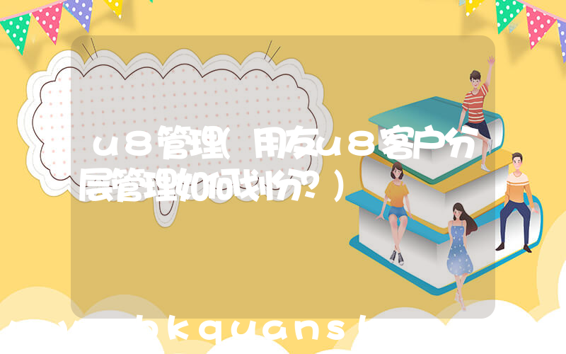 u8管理(用友u8客户分层管理如何划分？)