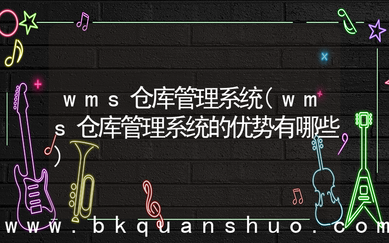 wms仓库管理系统(wms仓库管理系统的优势有哪些)