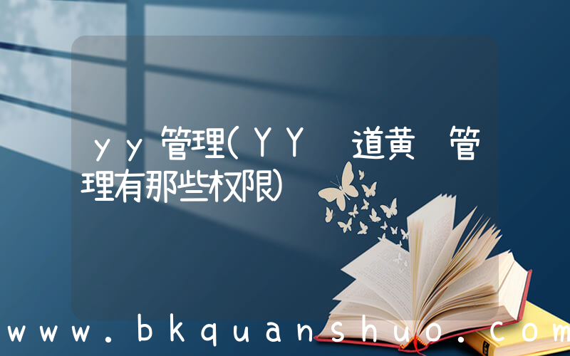 yy管理(YY频道黄马管理有那些权限)