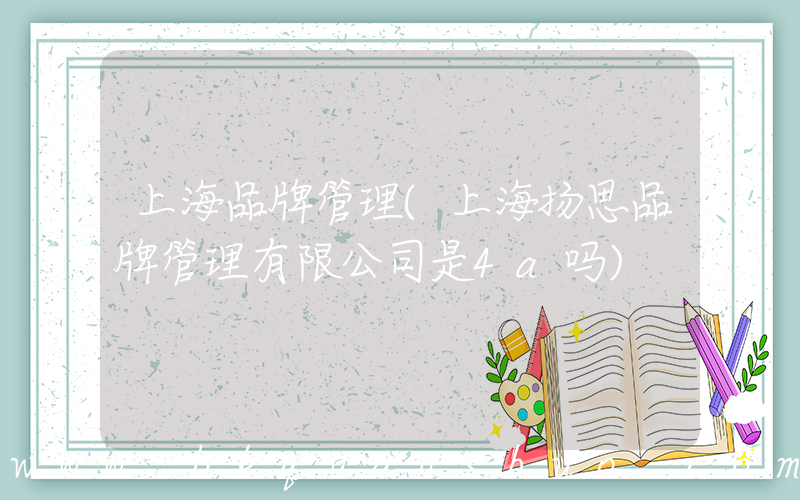 上海品牌管理(上海扬思品牌管理有限公司是4a吗)