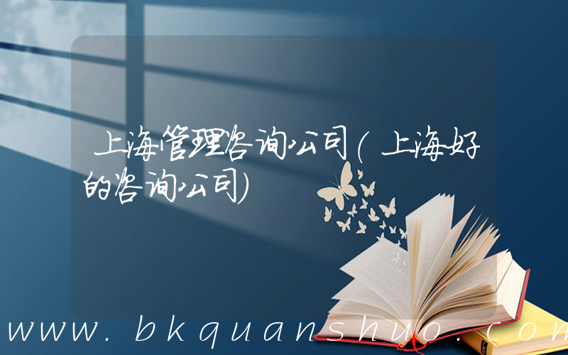 上海管理咨询公司(上海好的咨询公司)
