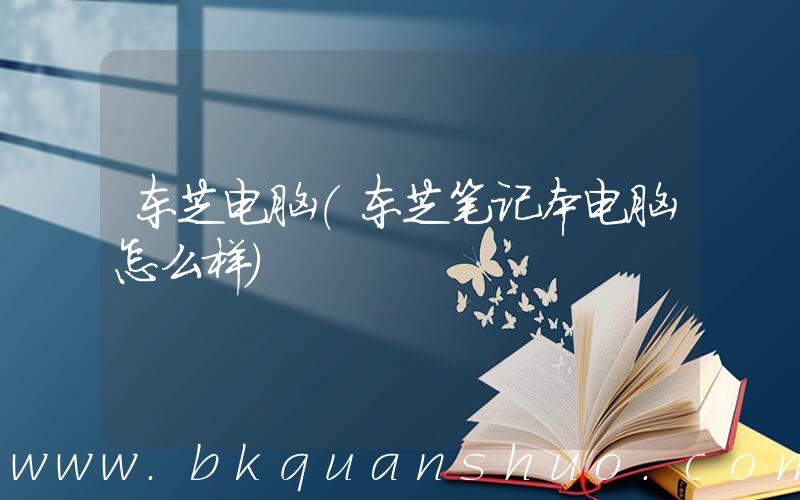 东芝电脑(东芝笔记本电脑怎么样)