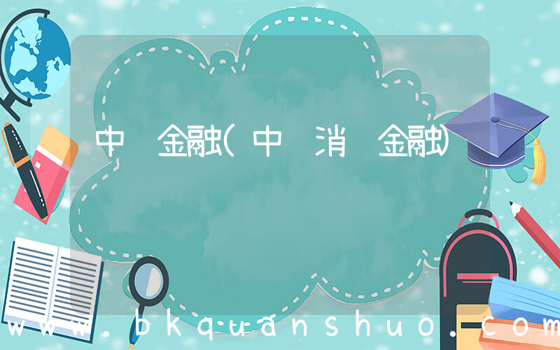 中银金融(中银消费金融)