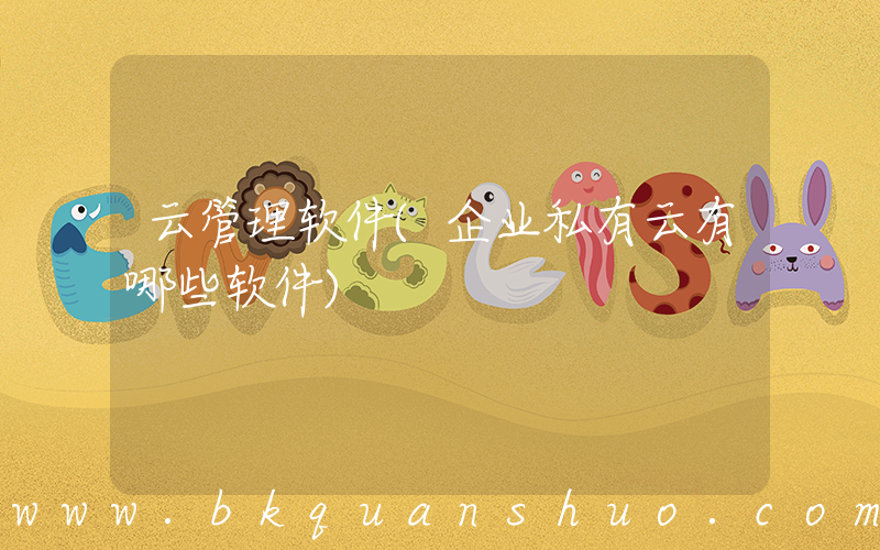 云管理软件(企业私有云有哪些软件)