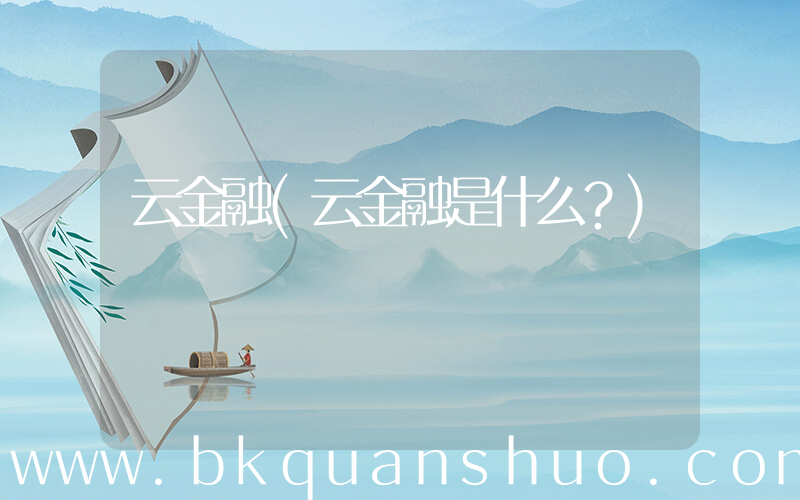 云金融(云金融是什么？)