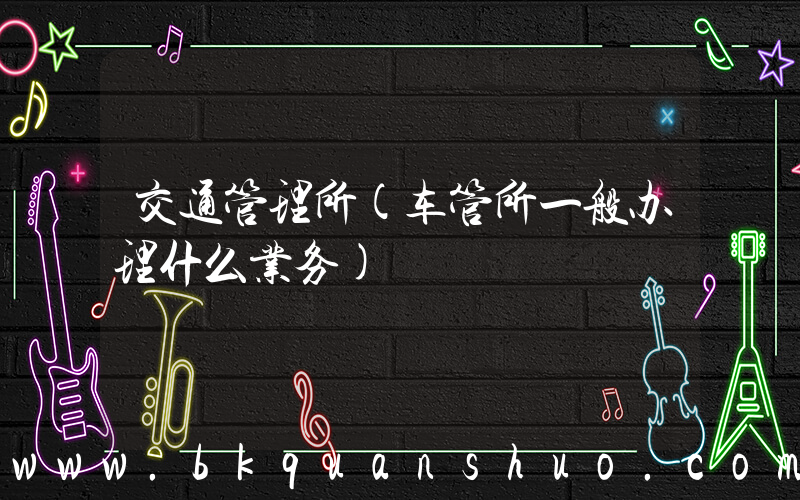 交通管理所(车管所一般办理什么业务)