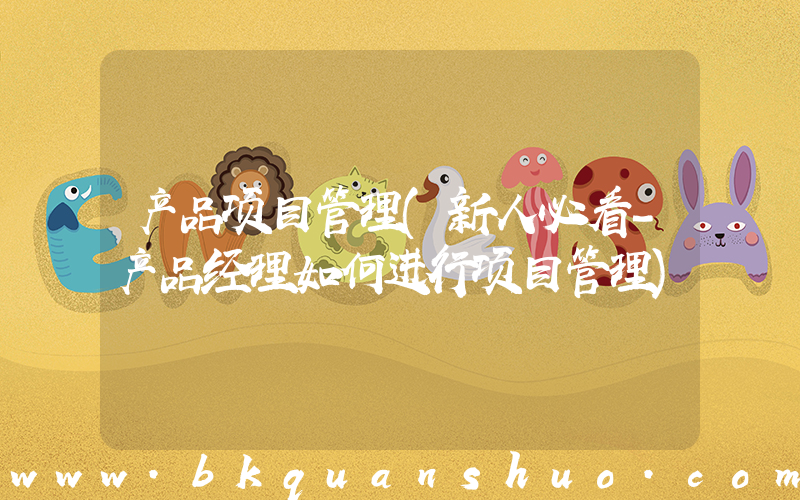 产品项目管理(新人必看-产品经理如何进行项目管理)