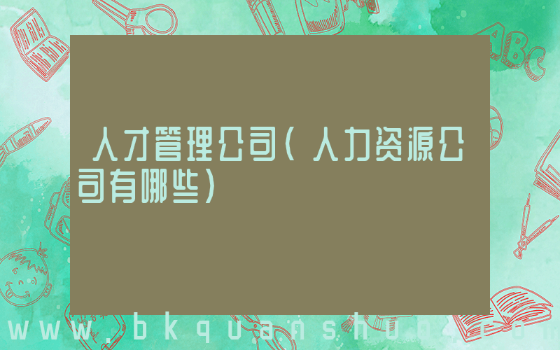 人才管理公司(人力资源公司有哪些)