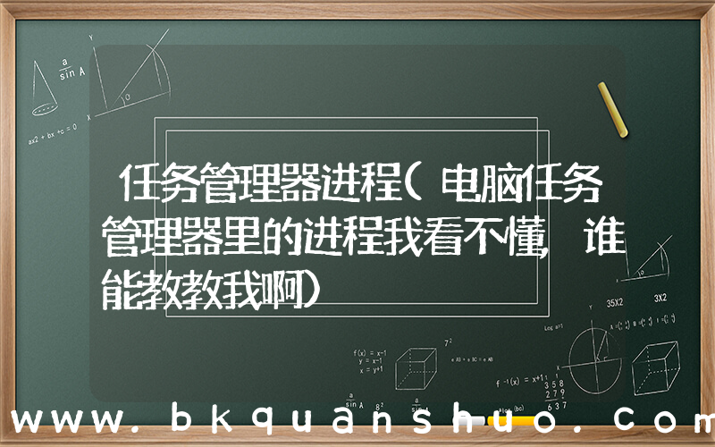 任务管理器进程(电脑任务管理器里的进程我看不懂,谁能教教我啊)