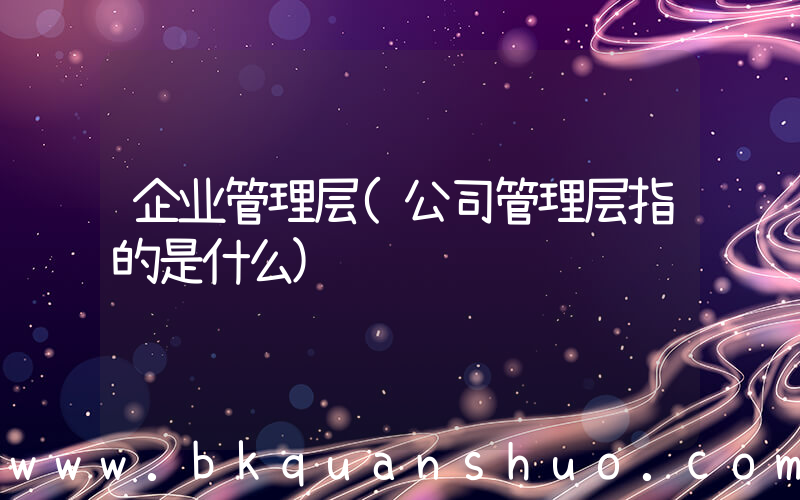 企业管理层(公司管理层指的是什么)
