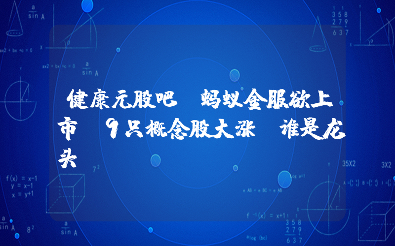 健康元股吧(蚂蚁金服欲上市，9只概念股大涨，谁是龙头)