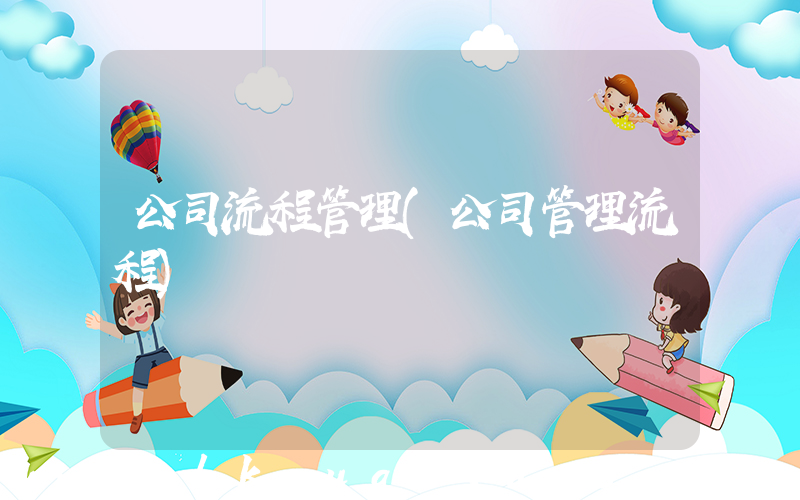 公司流程管理(公司管理流程)