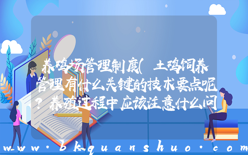 养鸡场管理制度(土鸡饲养管理有什么关键的技术要点呢？养殖过程中应该注意什么问题？)