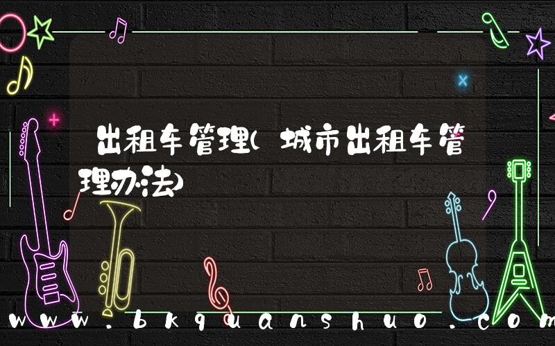 出租车管理(城市出租车管理办法)