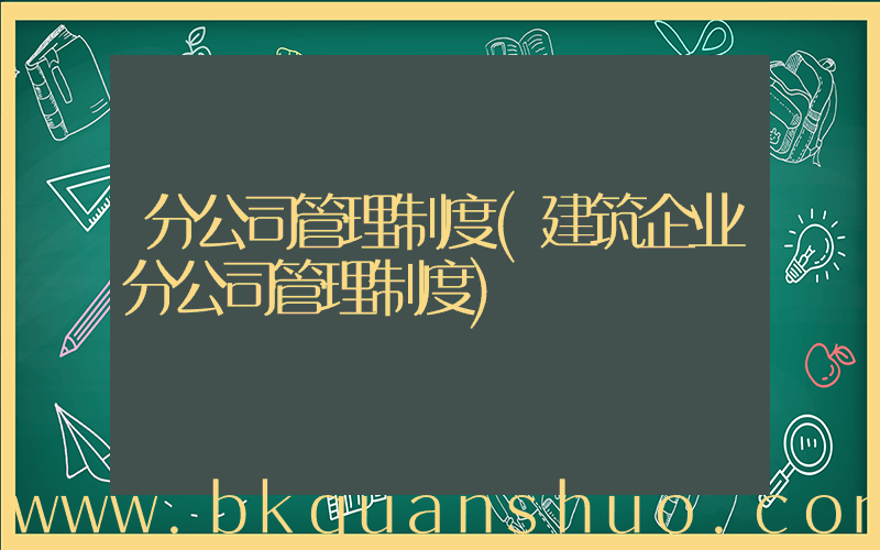 分公司管理制度(建筑企业分公司管理制度)