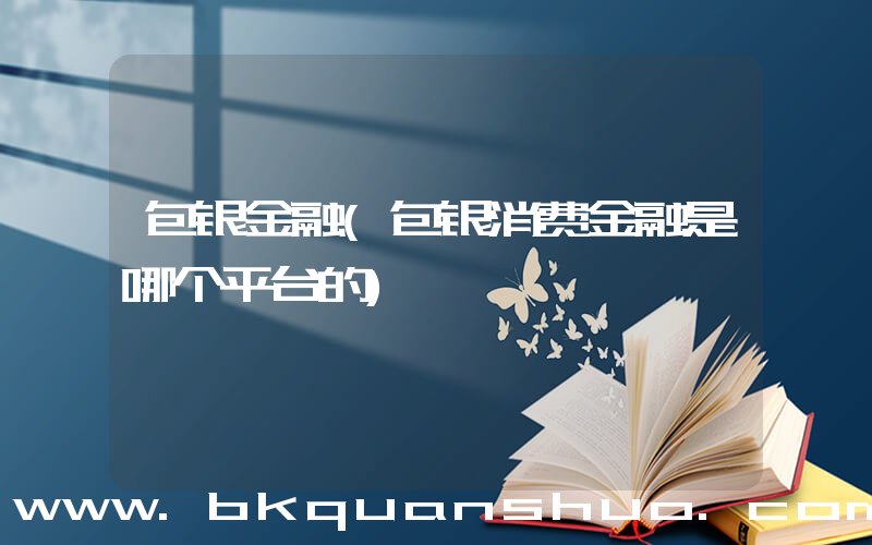 包银金融(包银消费金融是哪个平台的)