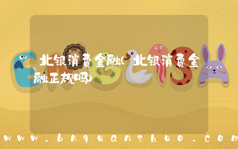 北银消费金融(北银消费金融正规吗)