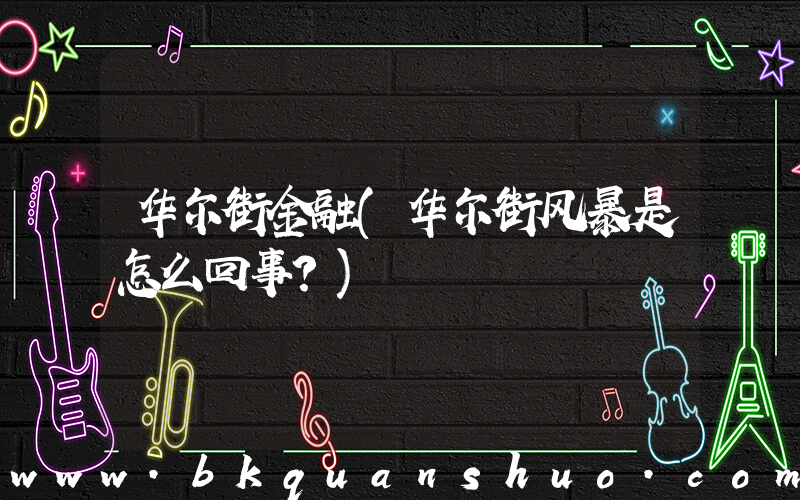 华尔街金融(华尔街风暴是怎么回事？)