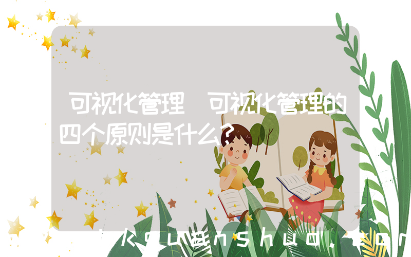 可视化管理(可视化管理的四个原则是什么？)