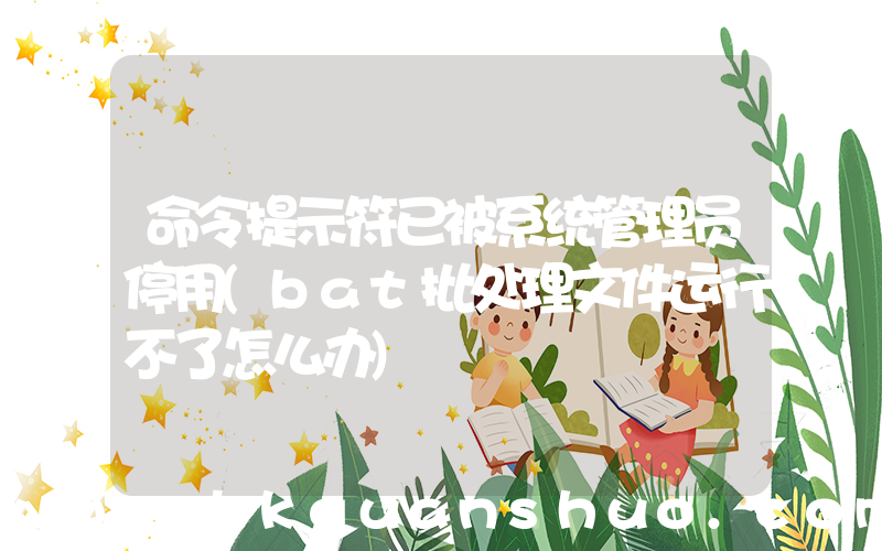命令提示符已被系统管理员停用(bat批处理文件运行不了怎么办)