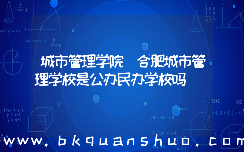 城市管理学院(合肥城市管理学校是公办民办学校吗)