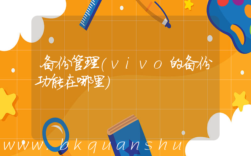 备份管理(vivo的备份功能在哪里)