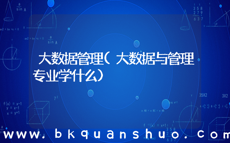 大数据管理(大数据与管理专业学什么)