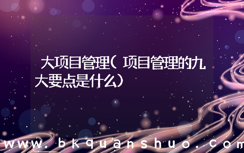 大项目管理(项目管理的九大要点是什么)