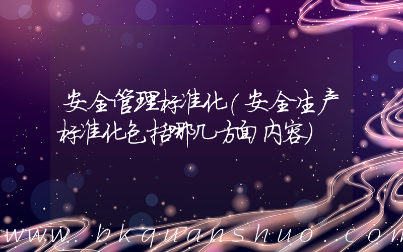 安全管理标准化(安全生产标准化包括哪几方面内容)