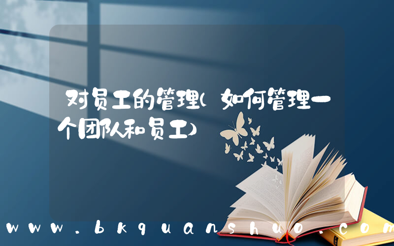 对员工的管理(如何管理一个团队和员工)