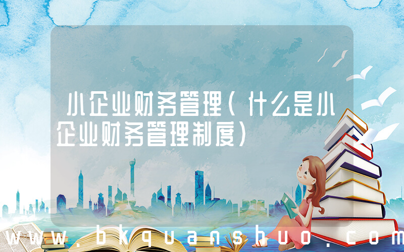 小企业财务管理(什么是小企业财务管理制度)