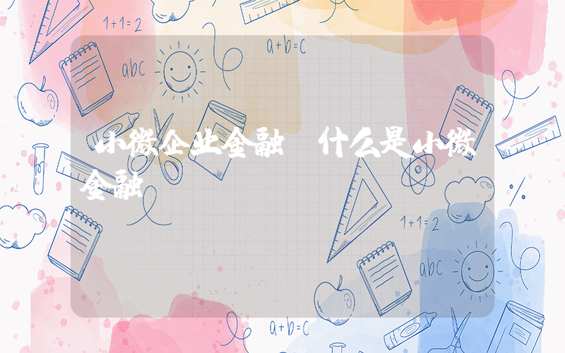 小微企业金融(什么是小微金融)