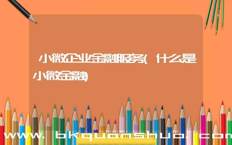 小微企业金融服务(什么是小微金融)