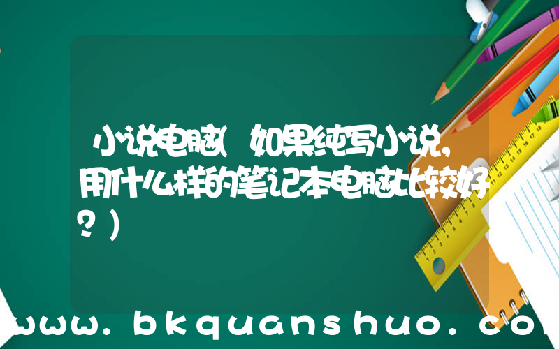 小说电脑(如果纯写小说，用什么样的笔记本电脑比较好？)