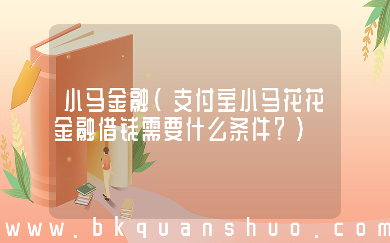 小马金融(支付宝小马花花金融借钱需要什么条件？)