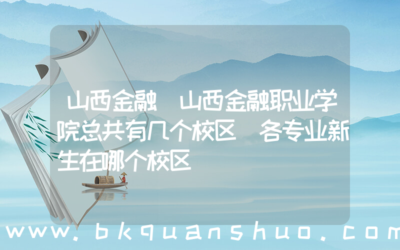 山西金融(山西金融职业学院总共有几个校区(各专业新生在哪个校区))