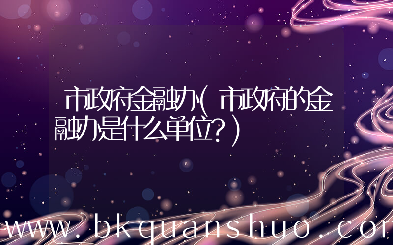市政府金融办(市政府的金融办是什么单位？)
