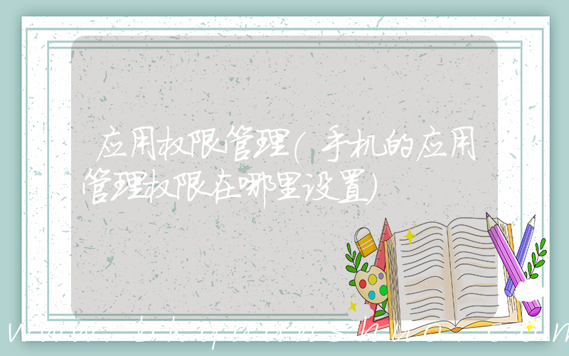 应用权限管理(手机的应用管理权限在哪里设置)