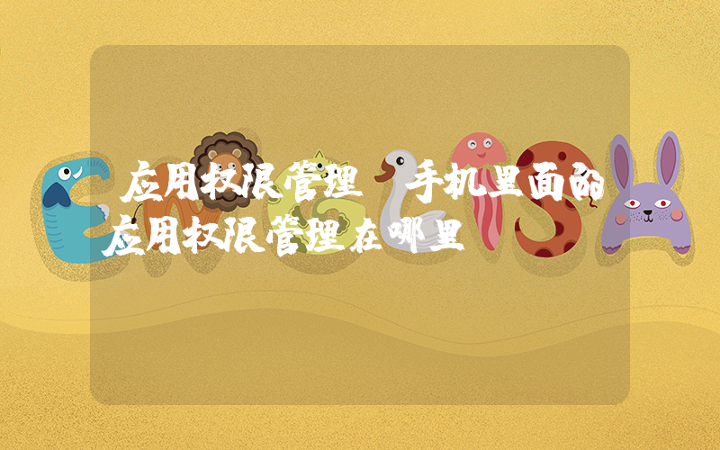 应用权限管理(手机里面的应用权限管理在哪里)