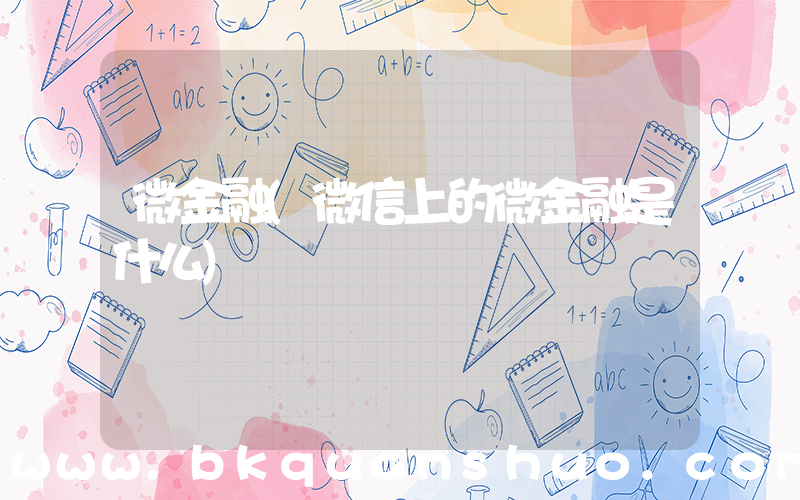 微金融(微信上的微金融是什么)