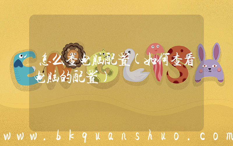 怎么查电脑配置(如何查看电脑的配置)
