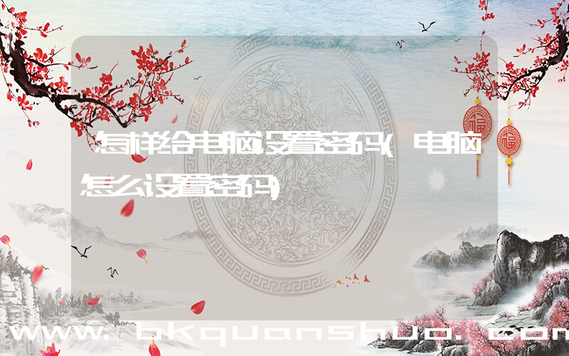 怎样给电脑设置密码(电脑怎么设置密码)