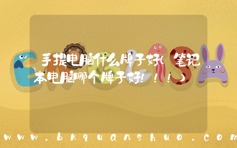 手提电脑什么牌子好(笔记本电脑哪个牌子好！！！)