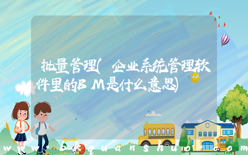 批量管理(企业系统管理软件里的BM是什么意思)