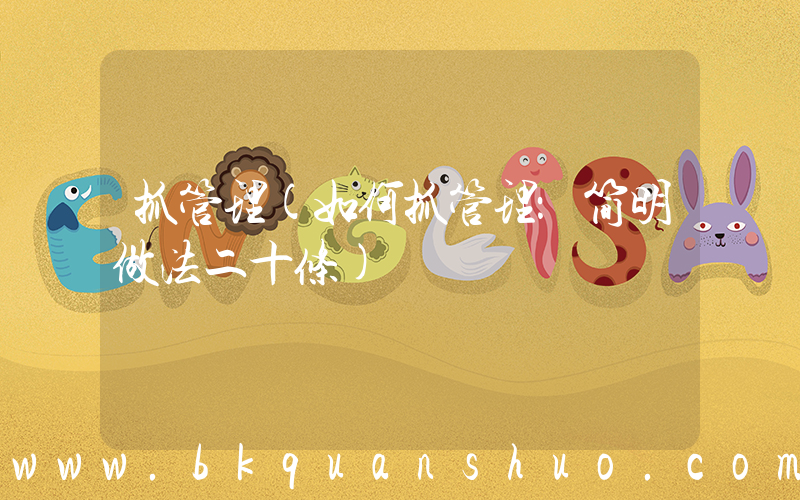 抓管理(如何抓管理：简明做法二十条)