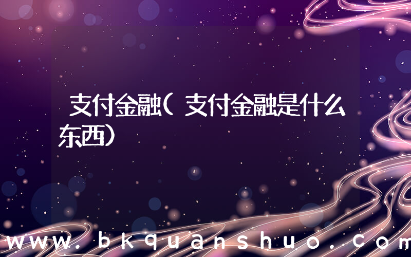 支付金融(支付金融是什么东西)